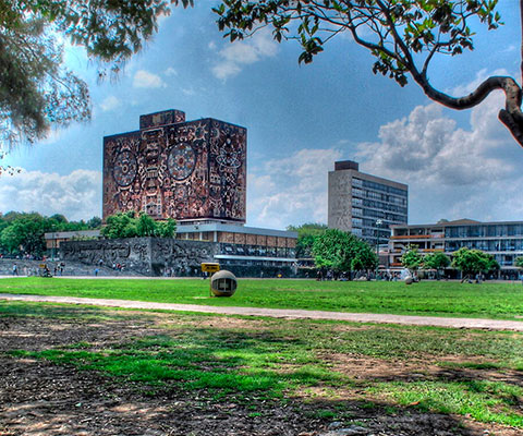 Haz una visita guiada en Ciudad Universitaria