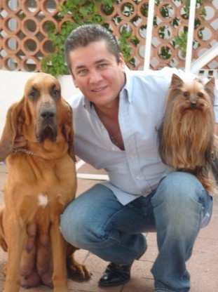 mascotas