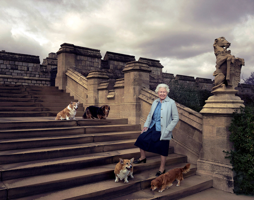 Perros reina Isabel 1