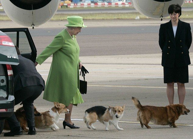 Perros reina Isabel 3