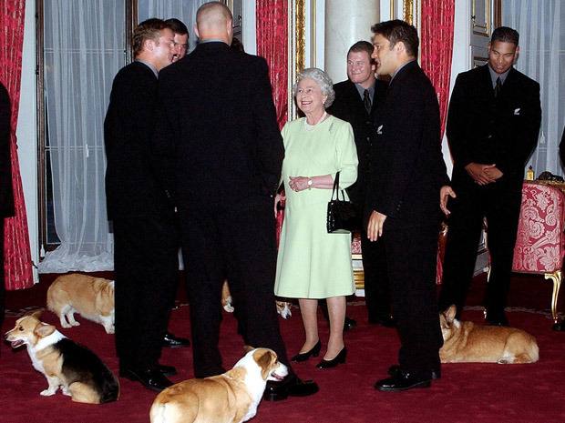 Perros reina Isabel 4