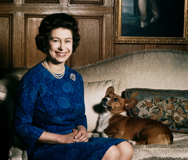 Perros reina Isabel 5