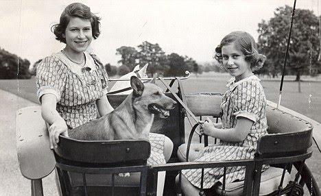 Perros reina Isabel 10